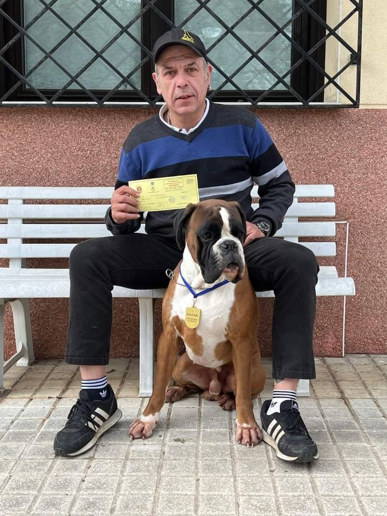 CH. Aske Dironau - EXC 1 + CACIB + MEJOR DE RAZA