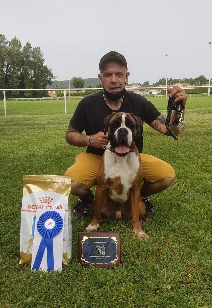 CH. Aske Dironau - EXC1+CAJ+BR