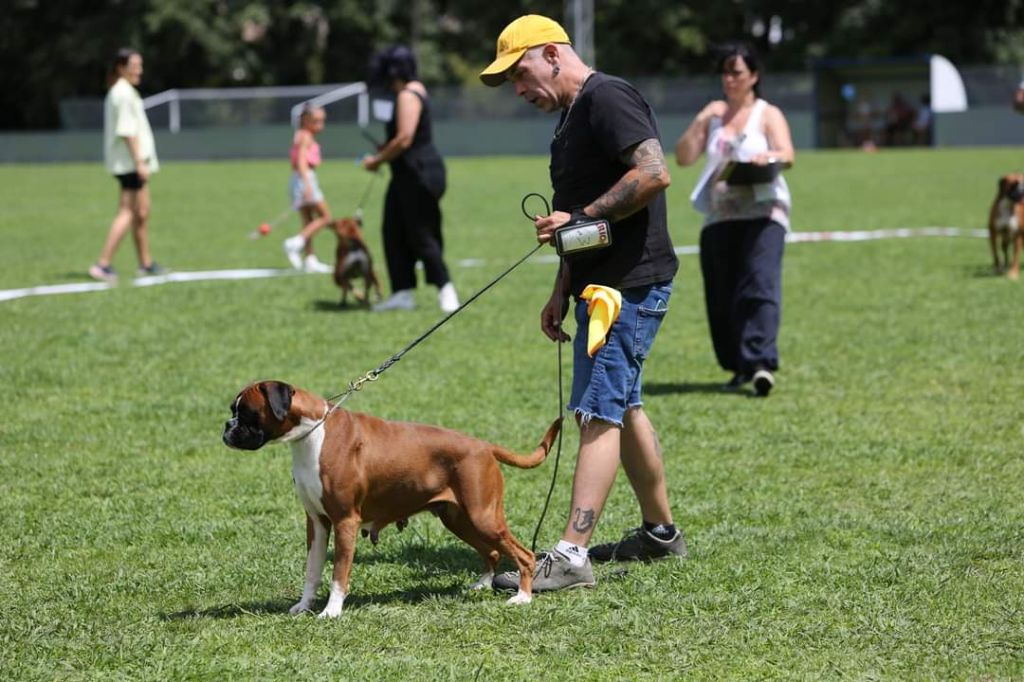 Zeta de kukuarri - EXC