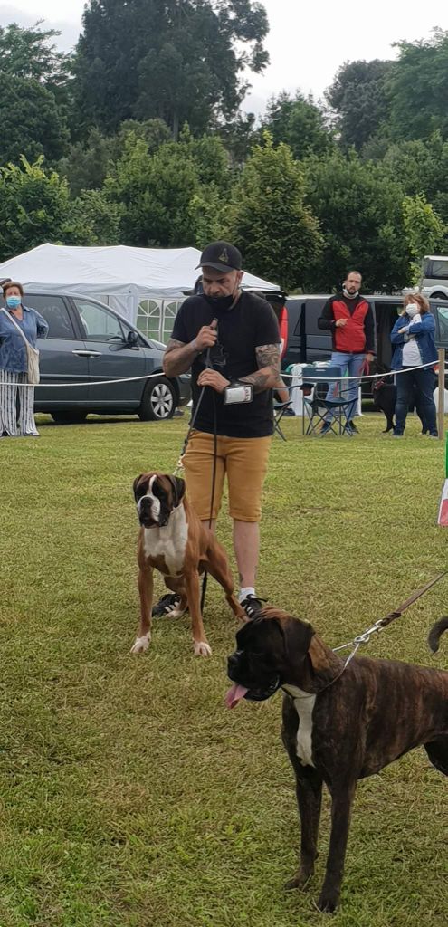 CH. Aske Dironau - EXC1+CCJ+BIS JOVEN