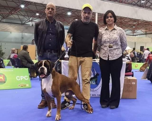 CH. Aske Dironau - EXC 1 + CAC