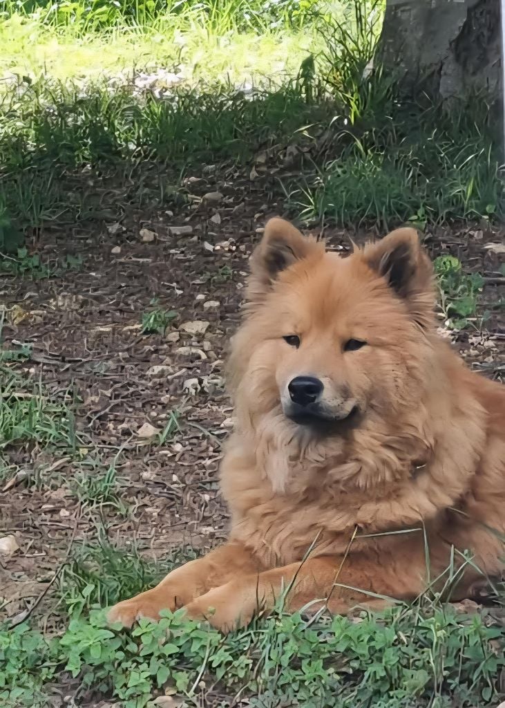 Ukali oomen des légende de retz