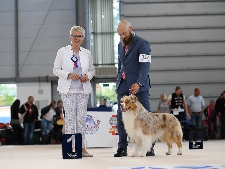 Publication : Du Petit Mont D'éden