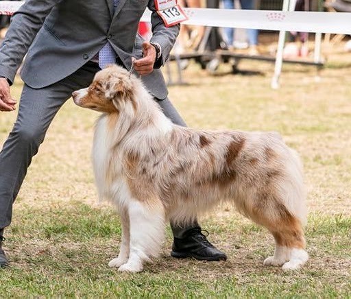 Publication : Du Petit Mont D'éden