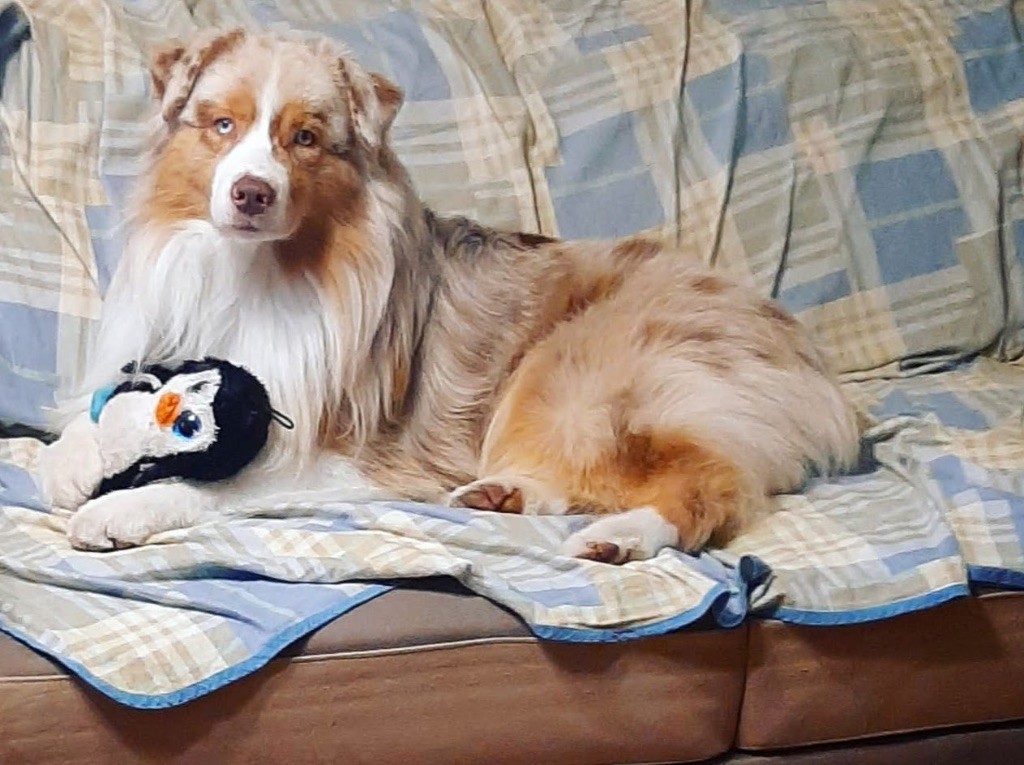 Publication : Du Petit Mont D'éden