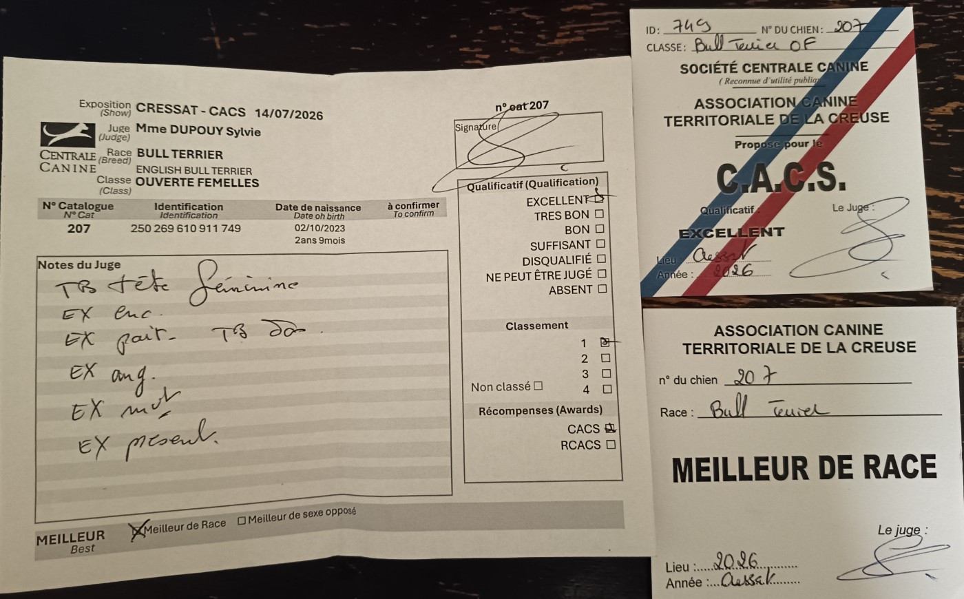 ambrodogs Mirach. dit viking lady resilenza - 1er Excellent CACS Meilleur de Race ''BOB''