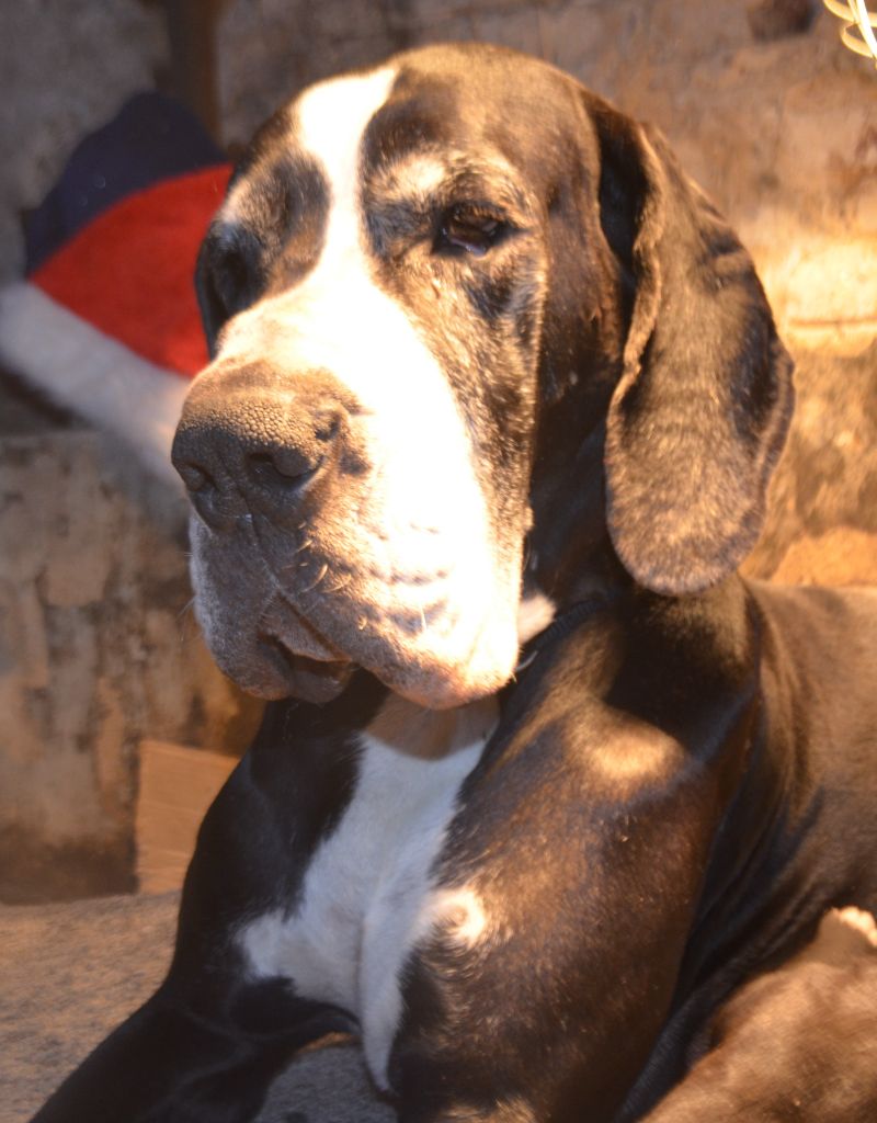 Publication : Des Terres De Limermont