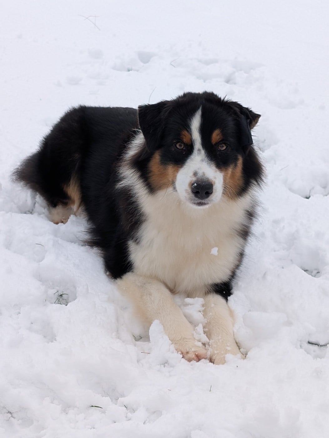 Publication : De L'eldorado Du Bonheur