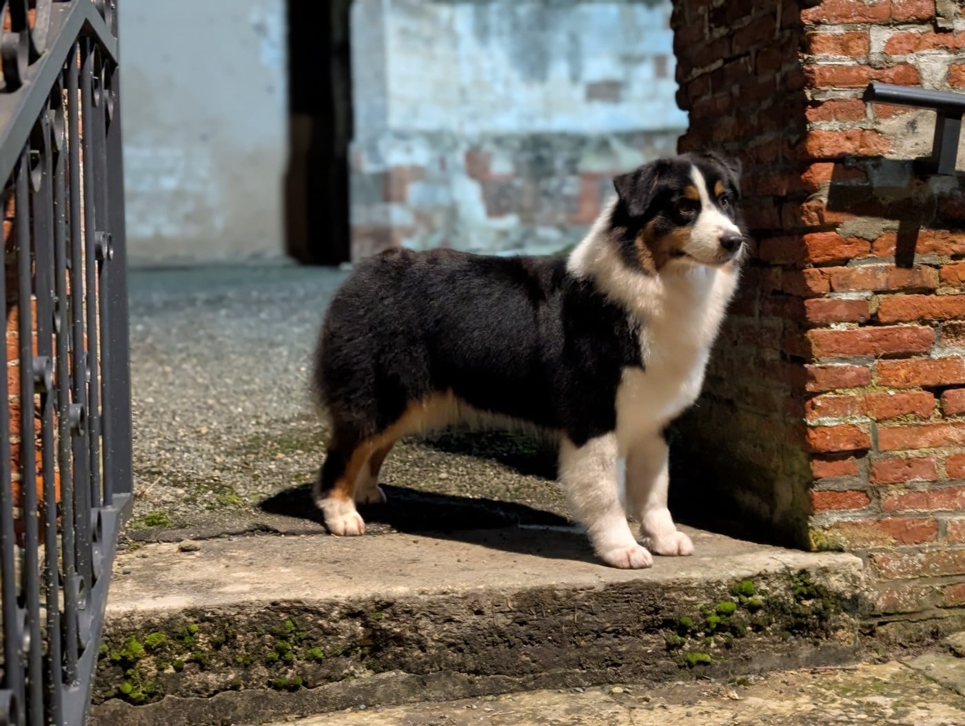 Publication : De L'eldorado Du Bonheur