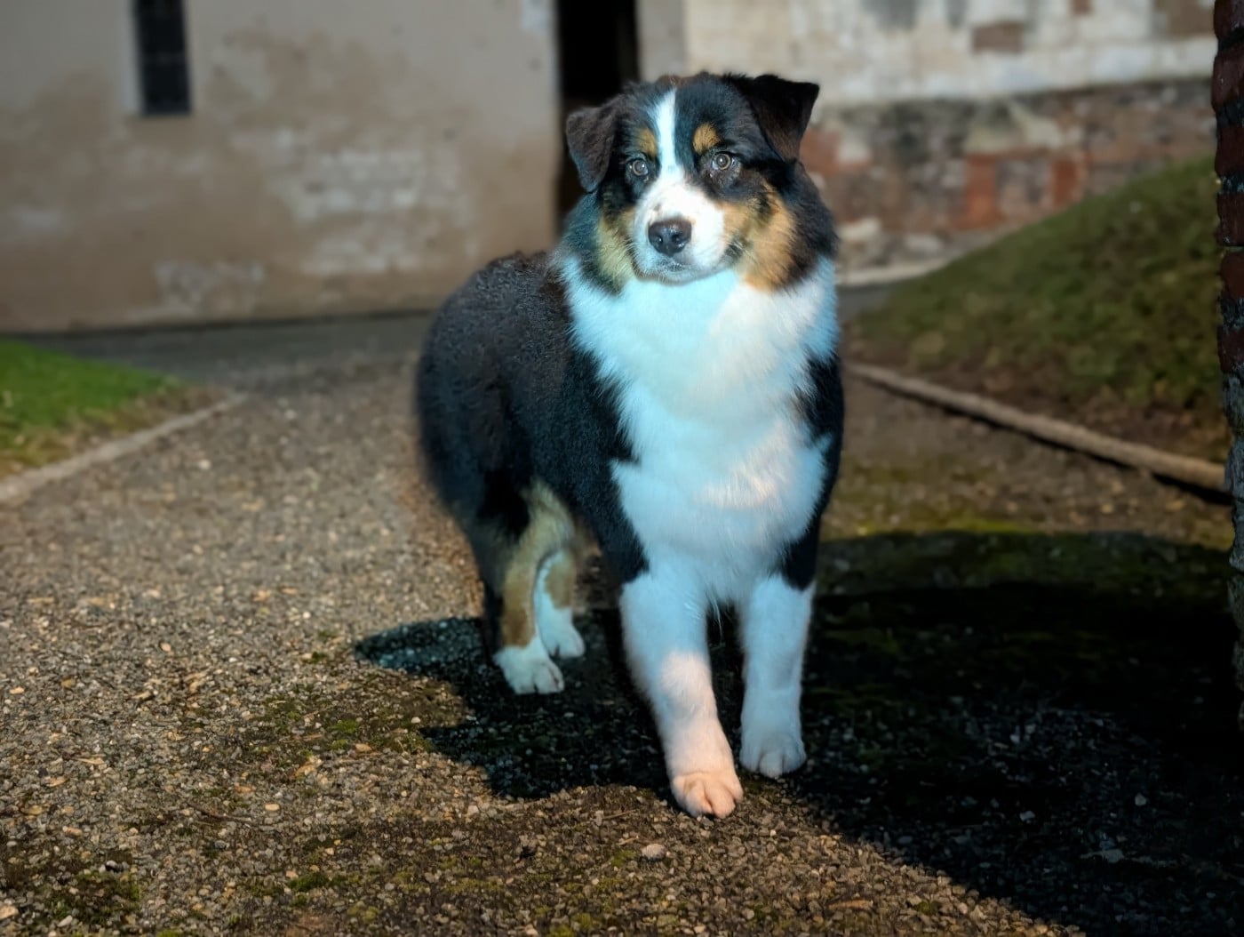Publication : De L'eldorado Du Bonheur