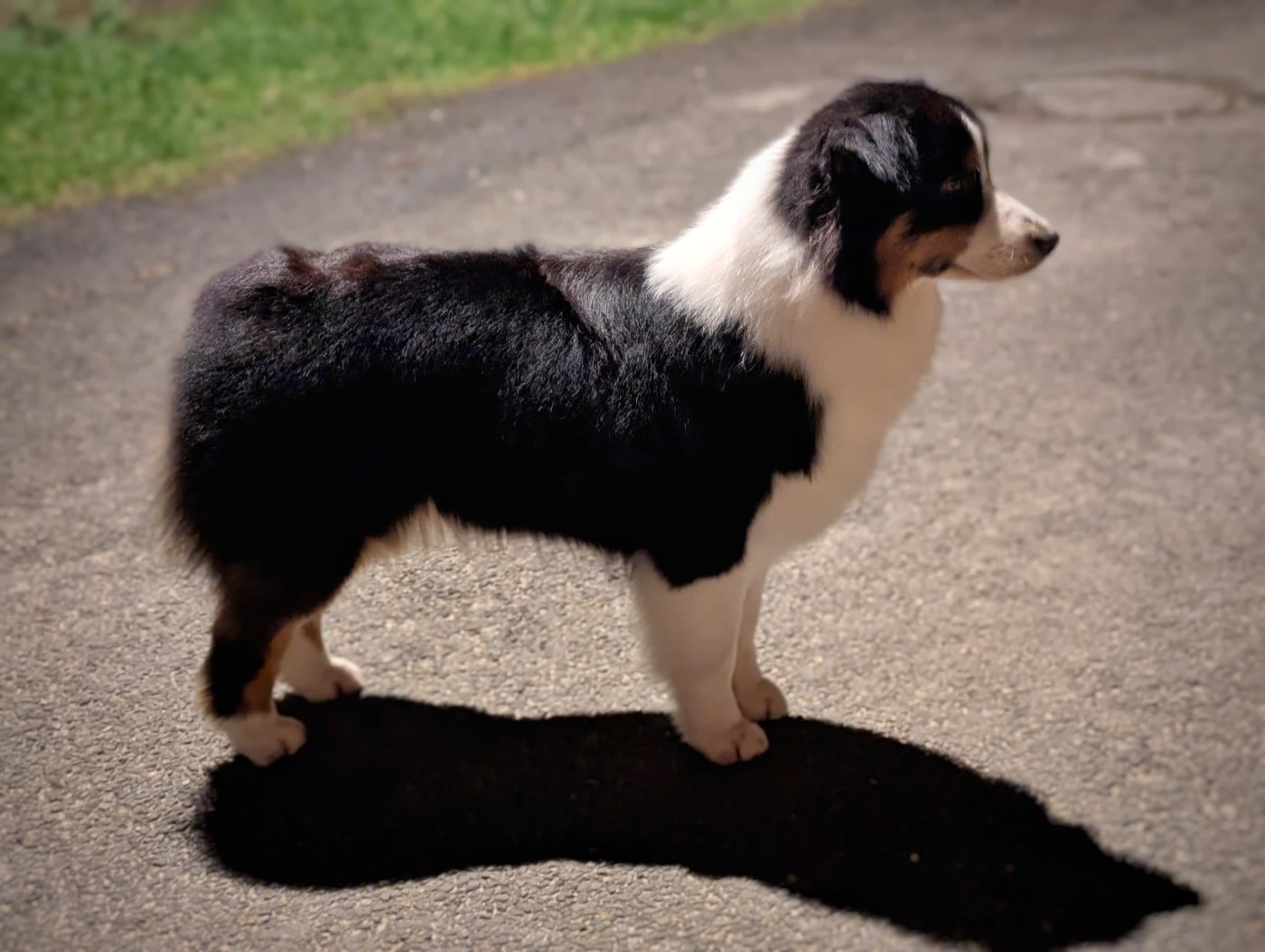 Publication : De L'eldorado Du Bonheur