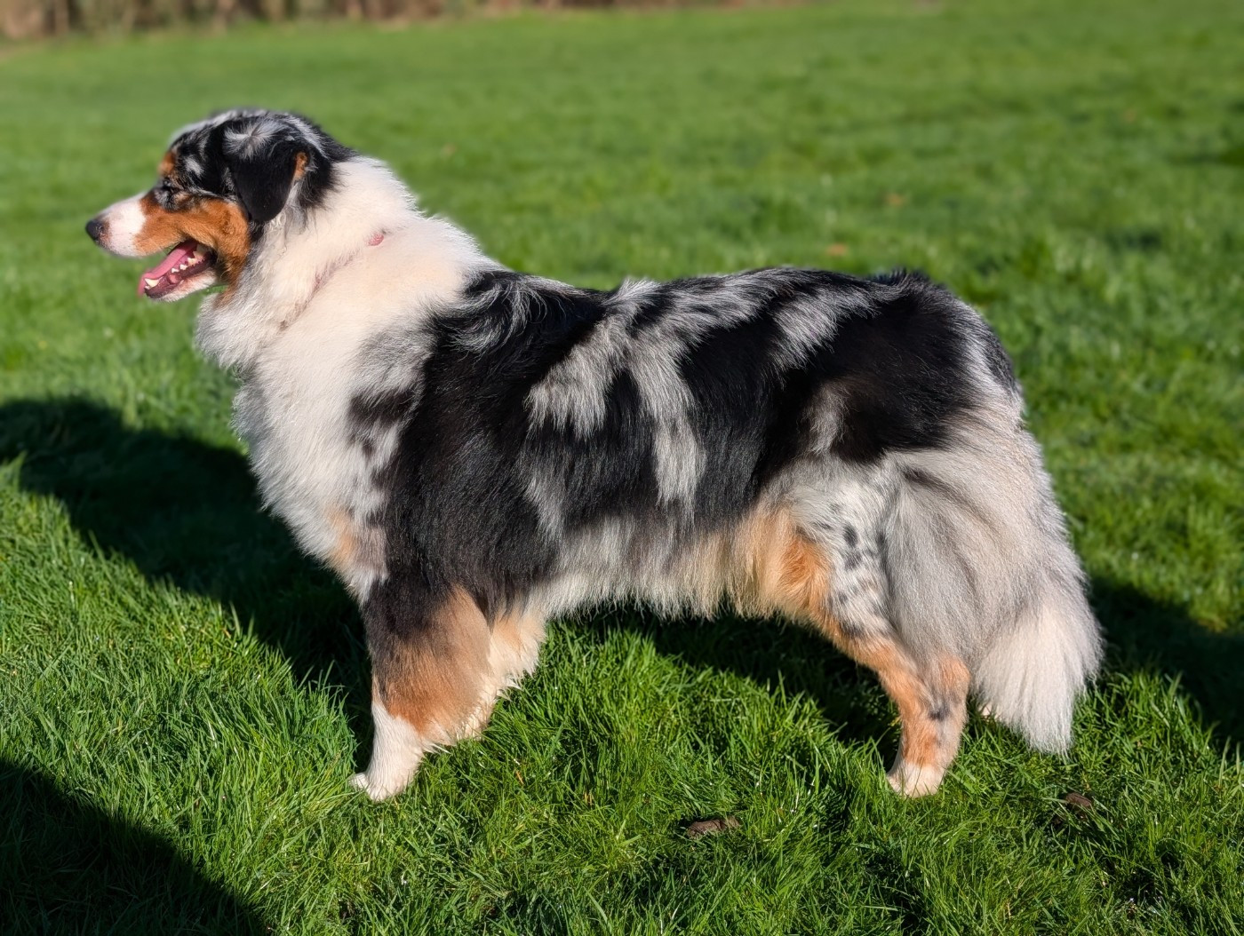 Viral trip masaya De L'eldorado Du Bonheur