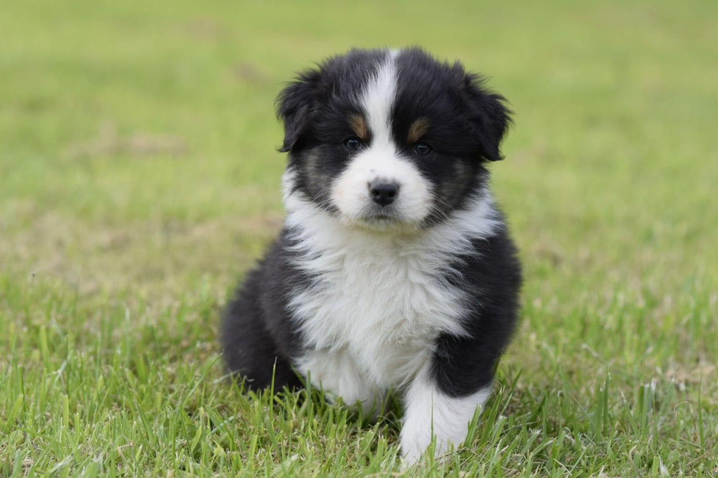 Publication : De L'eldorado Du Bonheur
