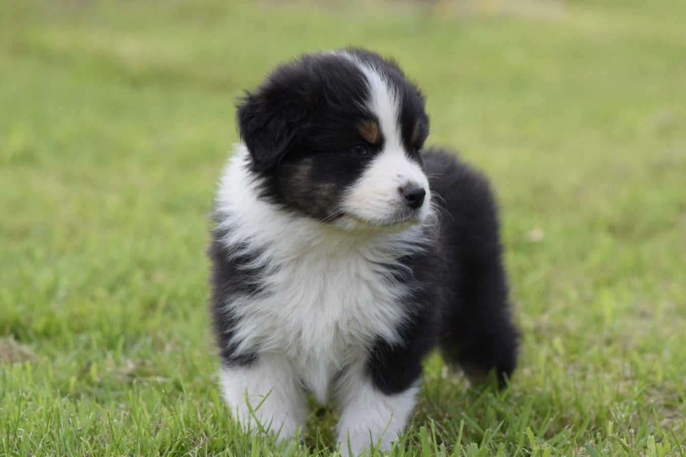 Publication : De L'eldorado Du Bonheur