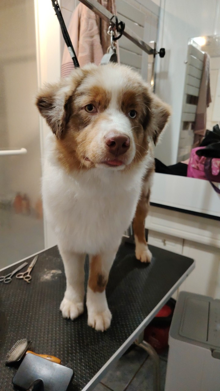 Asko Du Domaine De Nirémione