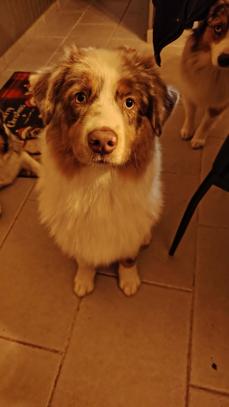 Asko Du Domaine De Nirémione