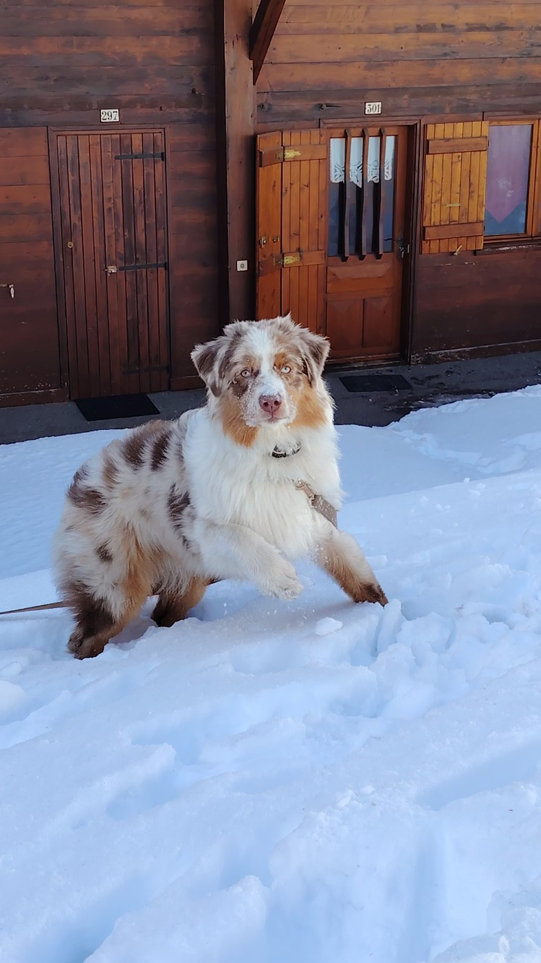 Asko Du Domaine De Nirémione