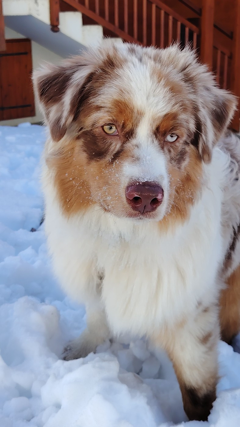 Asko Du Domaine De Nirémione