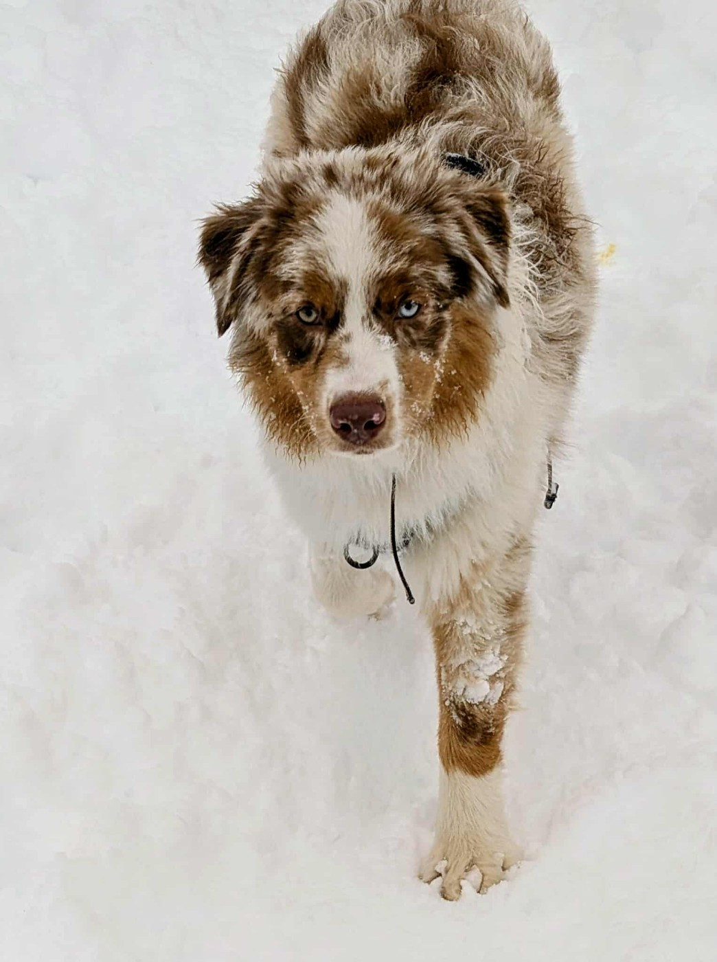 Asko Du Domaine De Nirémione