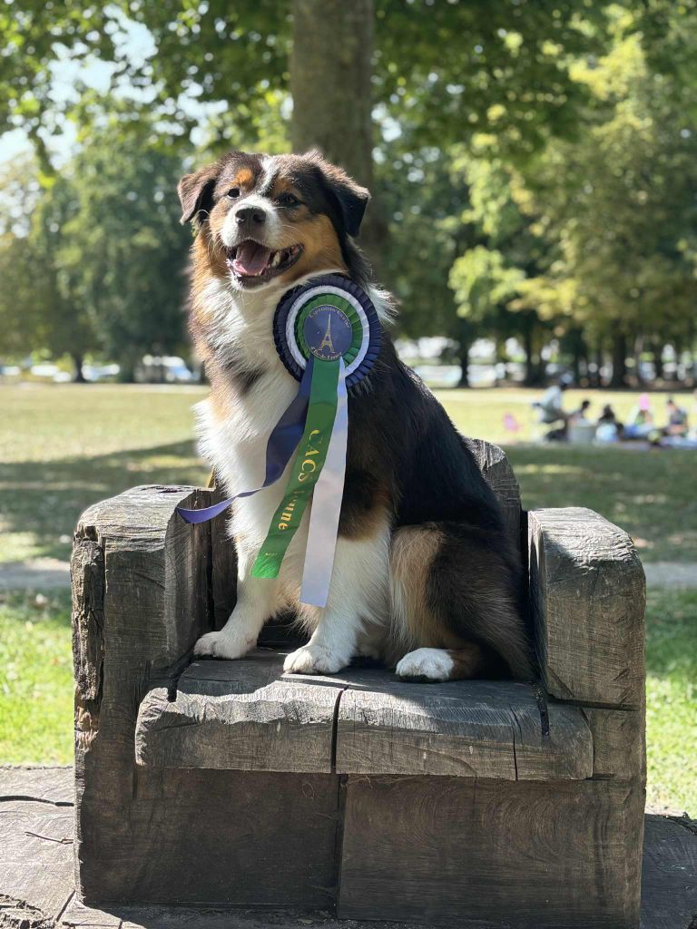 Vaos Du Domaine De Nirémione