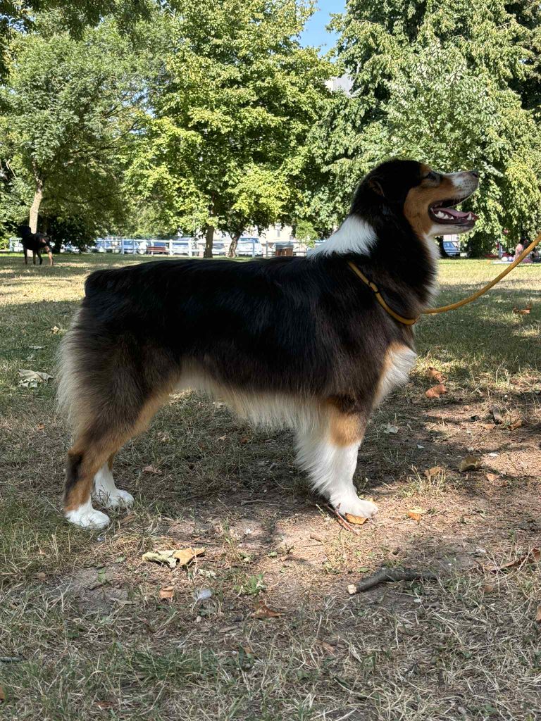 Vaos Du Domaine De Nirémione