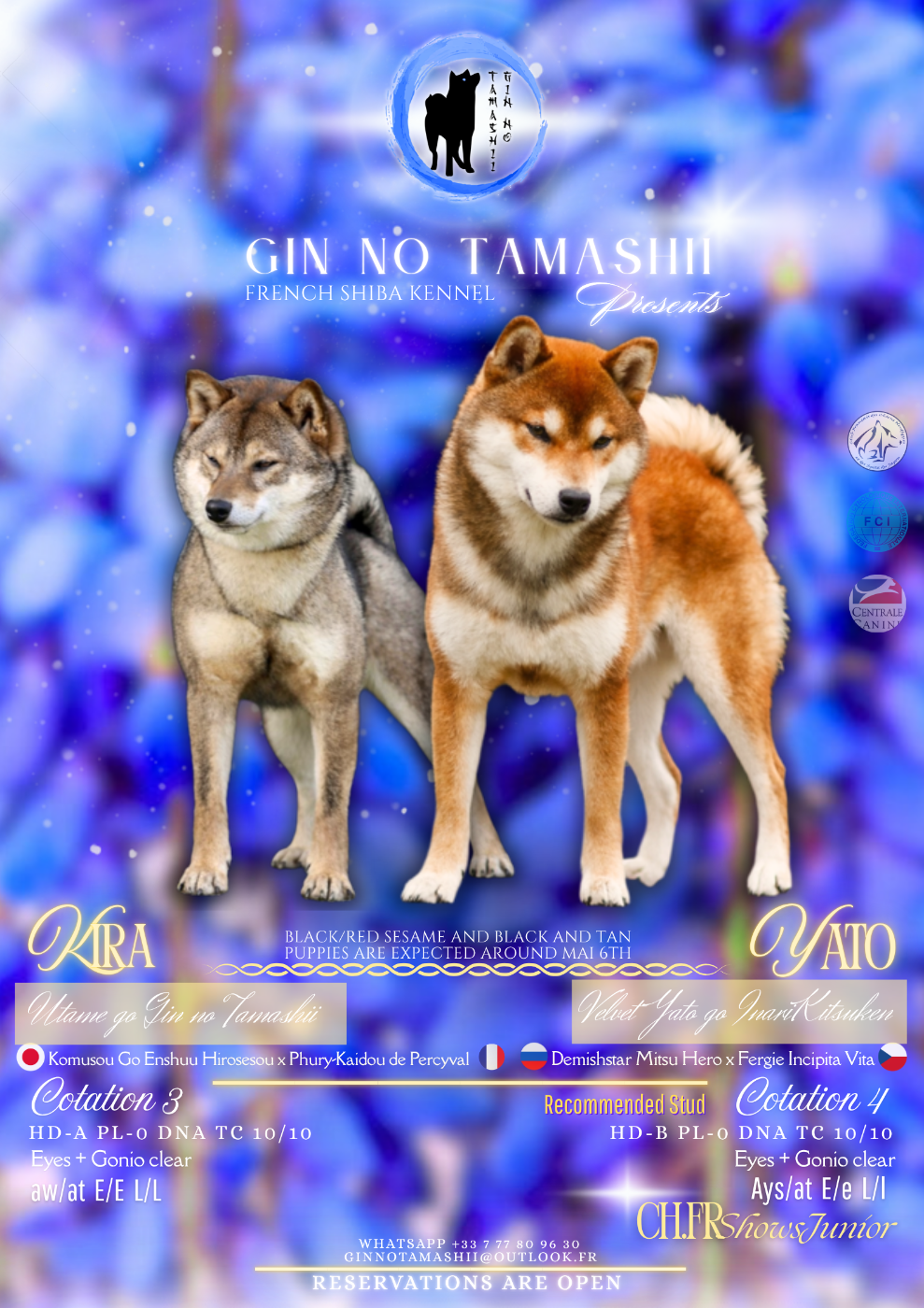 Shiba - Go Gin No Tamashii
