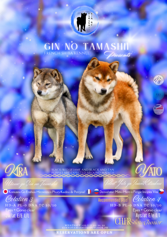 Shiba - Go Gin No Tamashii