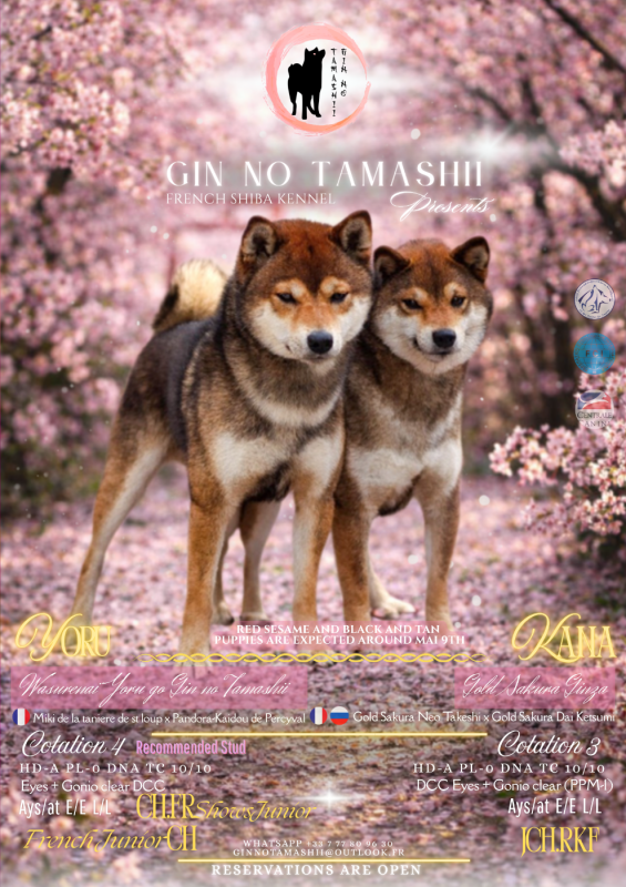 Shiba - Go Gin No Tamashii