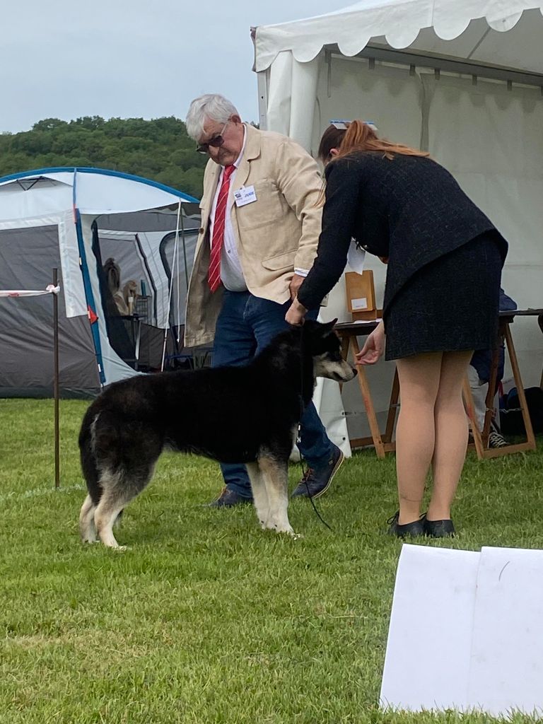 rayven Zhaklin severnoe siyanie ¨ payton ¨ - 2 EXCELLENT - OUVERT