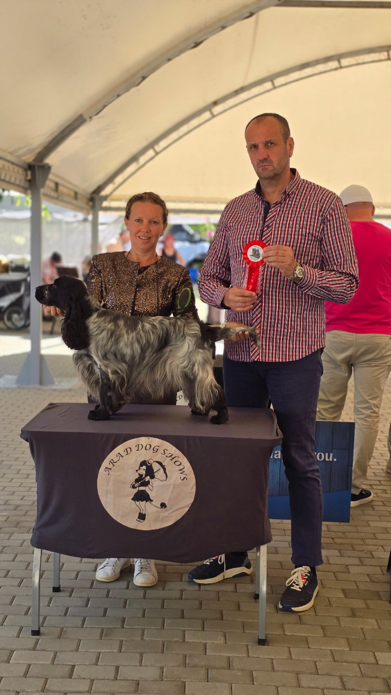 CH. Veni vidi vicky de la truffe noire du mont vinobre - 1 EXCELLENT CACIB CAC