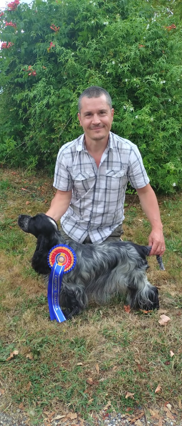 CH. Veni vidi vicky de la truffe noire du mont vinobre - 1 EXCELLENT CACIB CAC MEILLEUR DE RACE CRUFTS 2026 QUALIF
