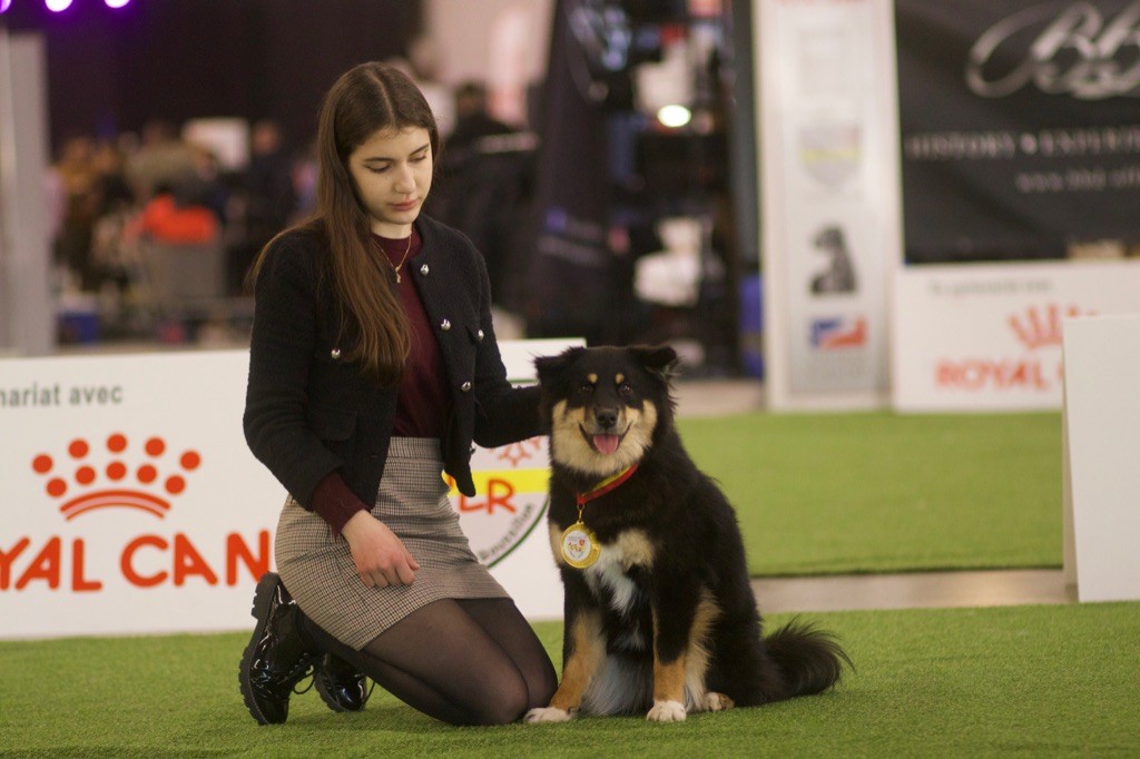 Taïga kettu Des Flocons D’Amour - Très prometteur - Classe puppy