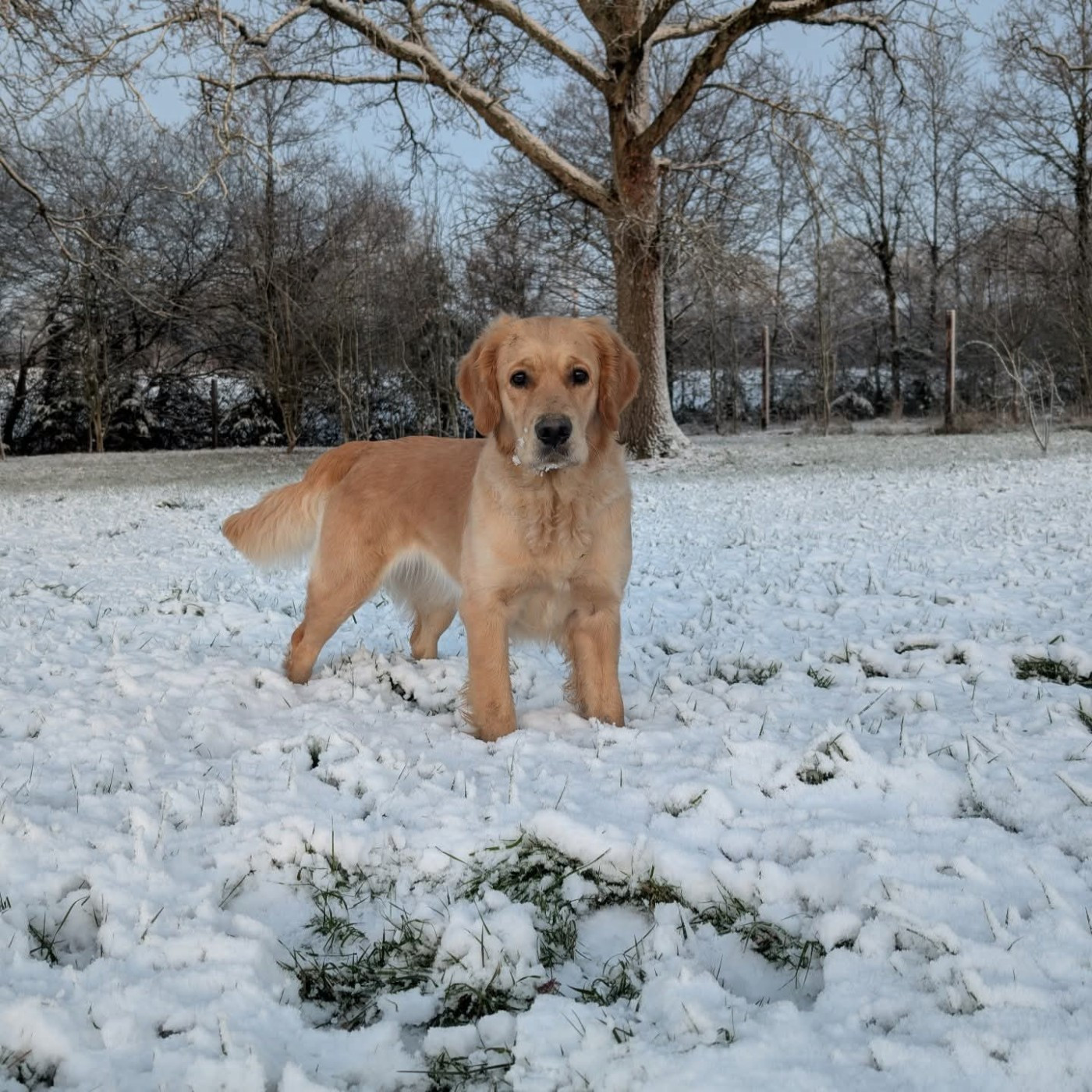Publication : Du Clos De La Roseliere Auteur : Du Clos de la Roselière