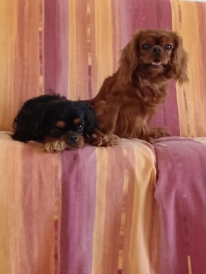 Du Chemin De Mathenou