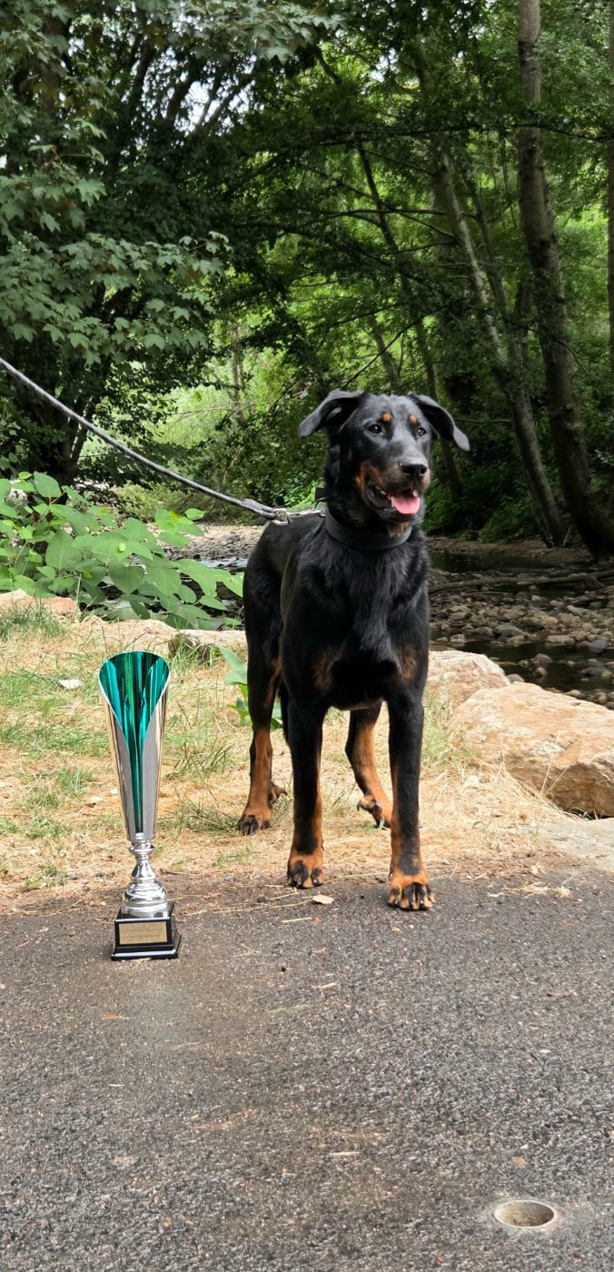 Publication : Des Bergers De La Croix Auteur : Vegas - 9 mois