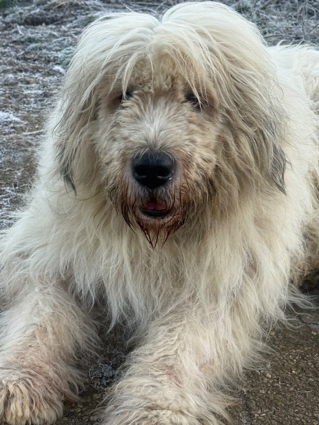 Nazar de marian barcun