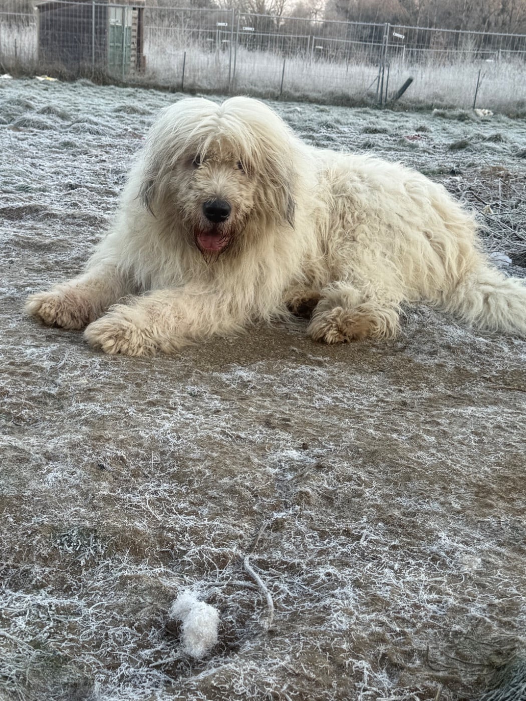 Nazar de marian barcun