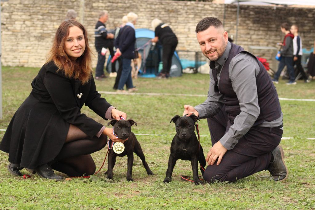 Tara Of Hurricane Stafford - 2ème Très Prometteur