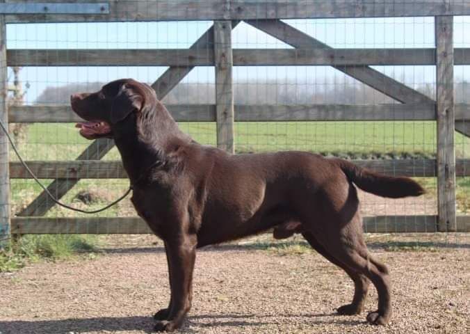 Publication : Sweetness Of Space