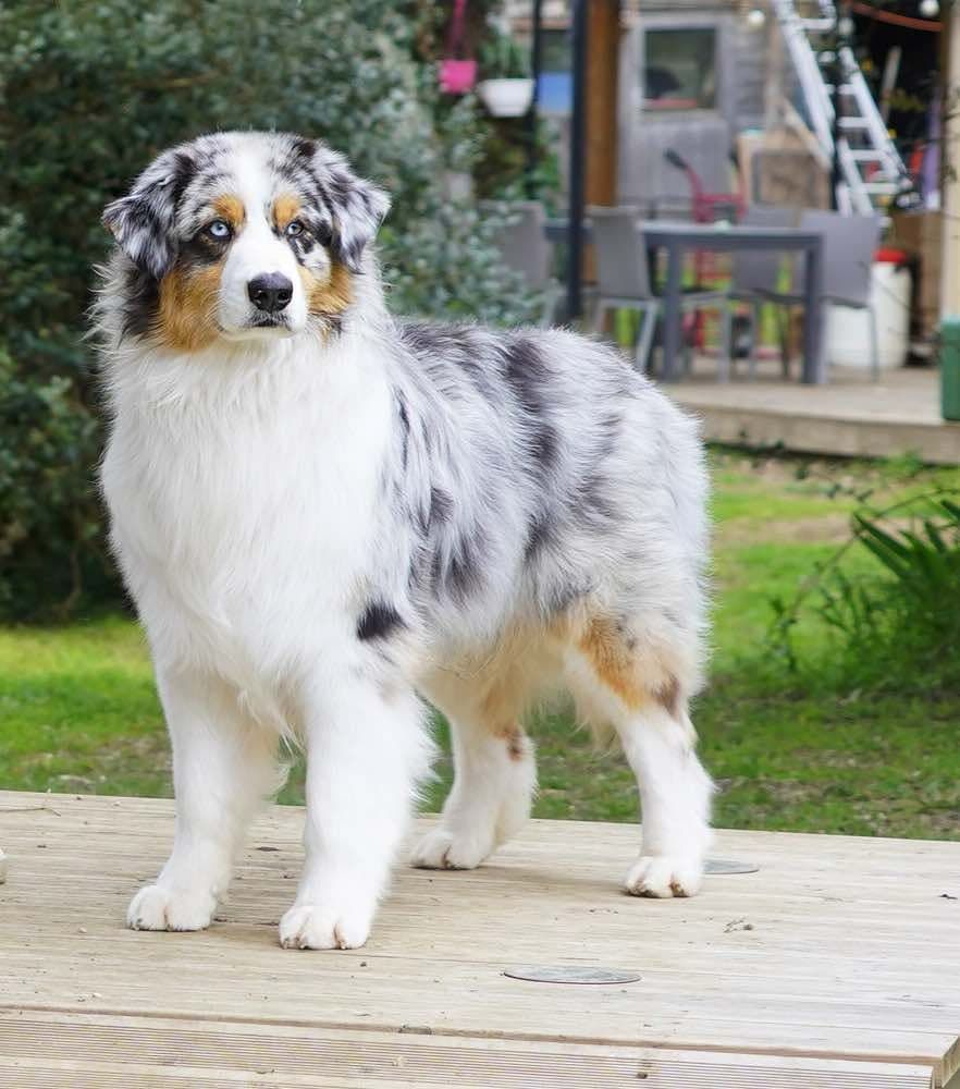 CH. Various shade or grey Of Blue Rimrock