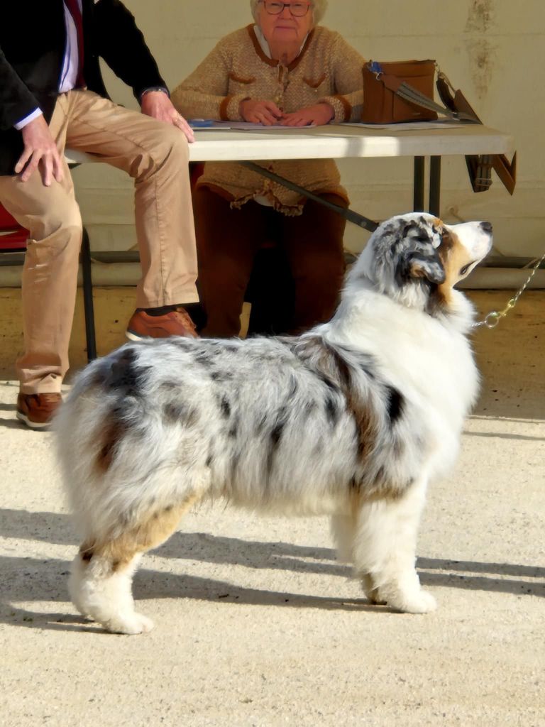 CH. Various shade or grey Of Blue Rimrock