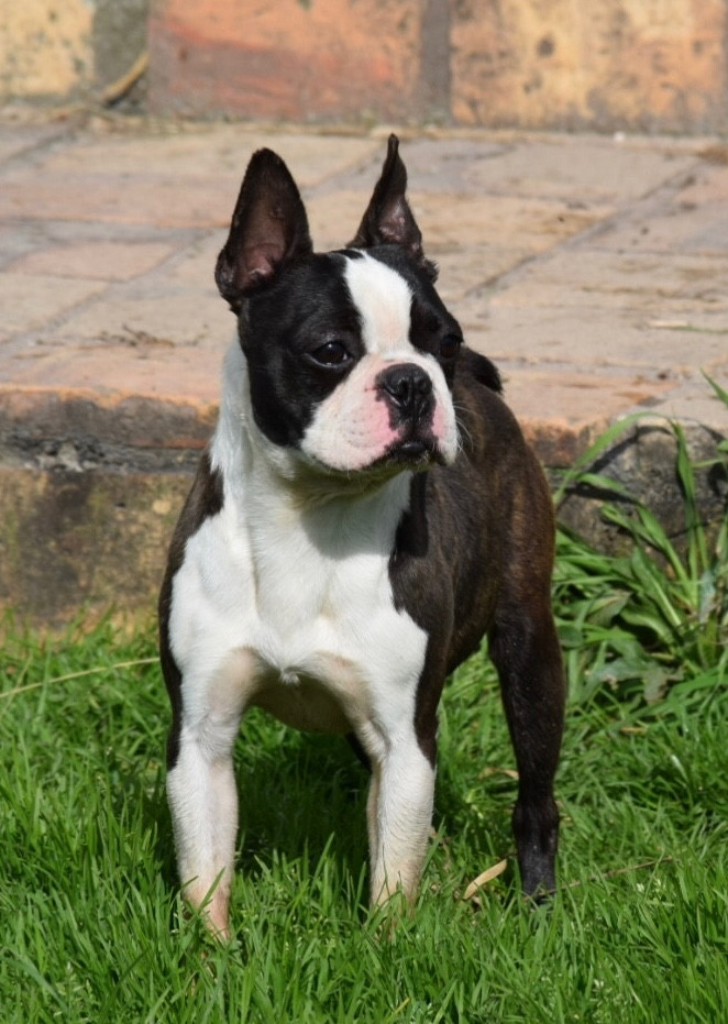 Un soir de pleine lune Du grand fresnoy