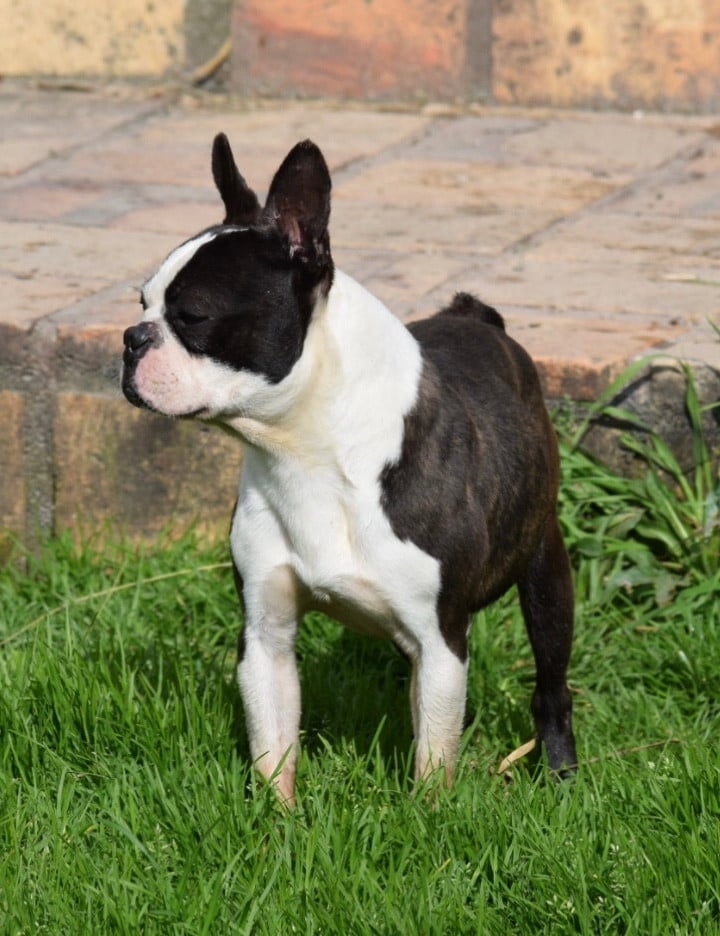 Un soir de pleine lune Du grand fresnoy