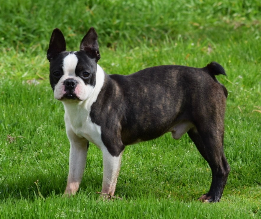 Un soir de pleine lune Du grand fresnoy