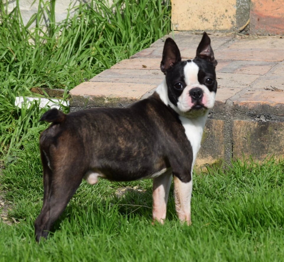 Un soir de pleine lune Du grand fresnoy