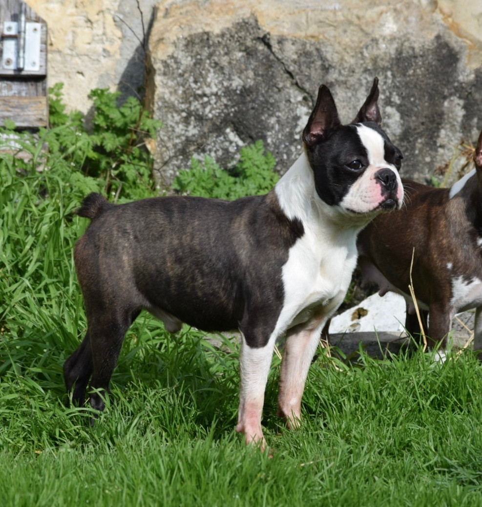 Un soir de pleine lune Du grand fresnoy