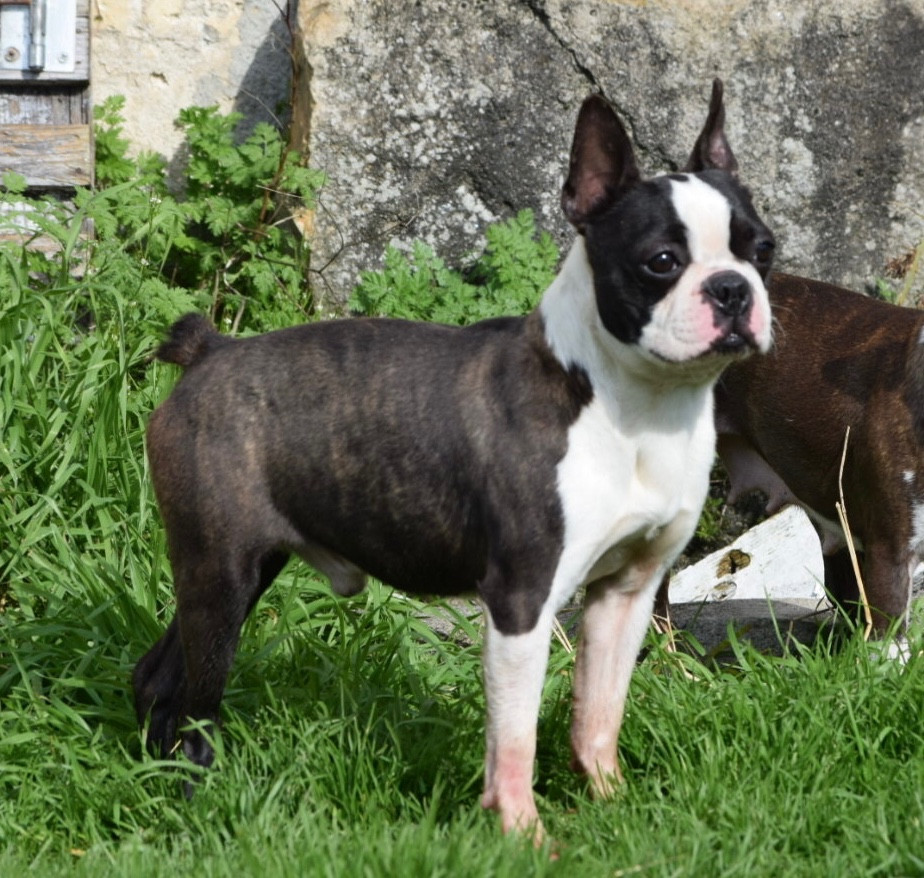 Un soir de pleine lune Du grand fresnoy