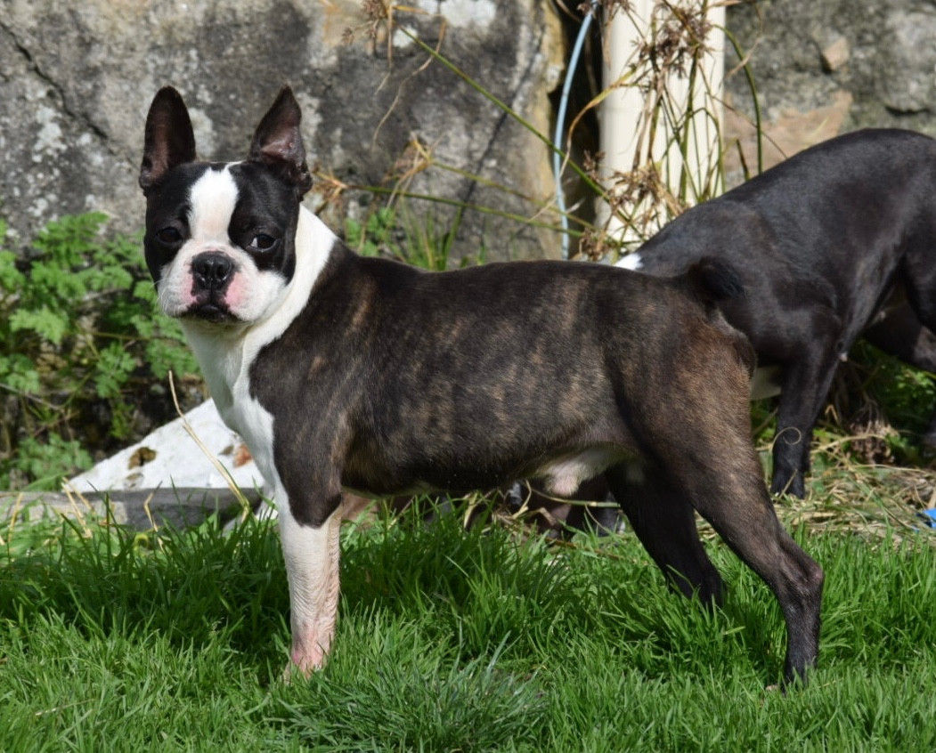 Un soir de pleine lune Du grand fresnoy