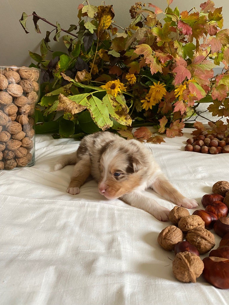 Sun des Anges de Miliondersky