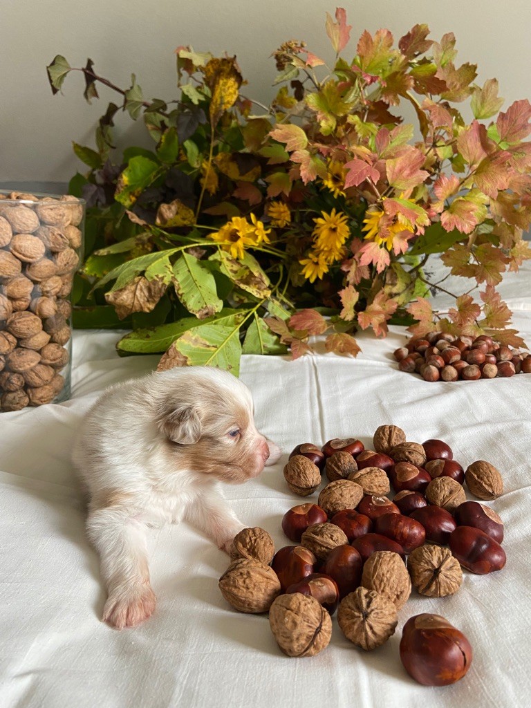 Sable des Anges de Miliondersky